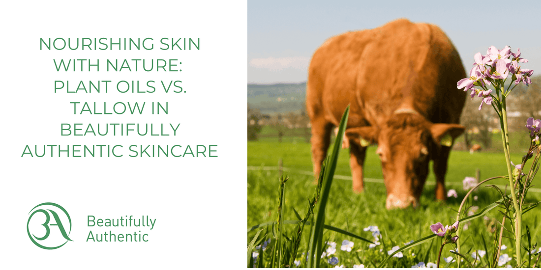 Why Plant Oils Outperform Tallow in Skincare: Vitamins, Antioxidants & Barrier Benefits
